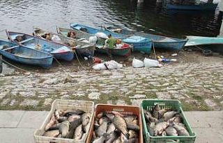 Beyşehir Gölü’nde av yasağı başlıyor