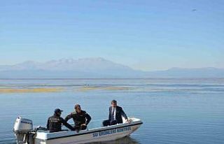 Beyşehir’de av yasağı sürerken balık tezgahlarında...