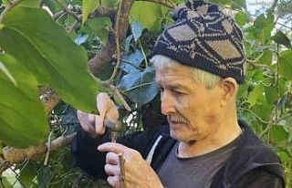 Bilecik huzurevinde kalan yaşlılar bahçeyi güzelleştiriyor