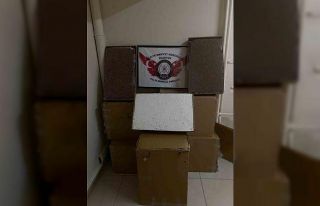 Bilecik’te kaçak sigara operasyonu: 125 bin adet...