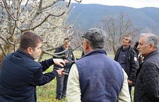 Bilecik’te üreticilere gübreleme ve budama kursu