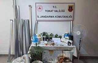 Bilgi notuyla apartman dairesinde uyuşturucu serası...