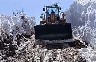 Bingöl’de karla mücadele çalışmaları sürüyor