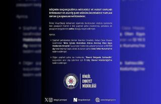 Bingöl’de sahte pasaportlu 2 şüpheli yakalandı