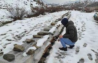 Birincilik getiren arılarını kış şartlarında...