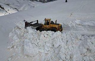 Bitlis’te 5 metreyi bulan karda yol açma çalışması