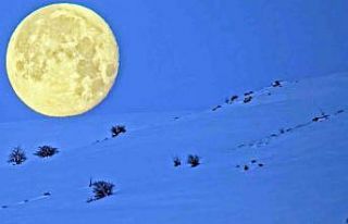 Bitlis’te karlı dağlarla bütünleşen ay manzarası...