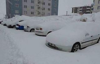 Bitlis’te mart karı 288 köy yolu ulaşıma kapattı