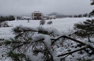 Bolu martta yağan karla beyaza büründü