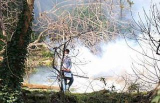 Bozdoğan Belediyesi ilaçlama çalışmalarını...