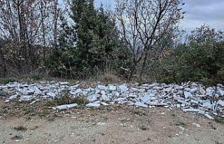 Bu kadarı da pes dedirtti