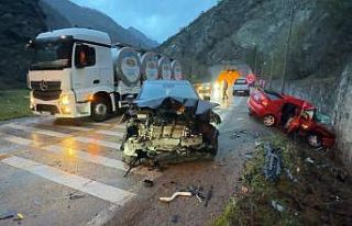 Bu kazada bir tek Asel bebek hayatta kaldı