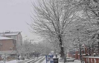 Bulanık Mart ayında beyaz büründü