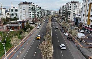 Bulvarlar süs armutlarıyla görsel şölene dönüştü