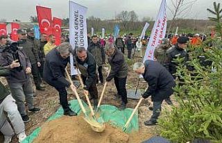 Bursa’da 2 yıl önce yanan 80 hektarlık alan ağaçlandırıldı