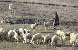 Bursa’da boğazından bıçaklanarak öldürülen...