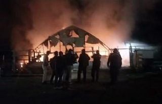 Bursa’da çiftlikte yangın: 580 kanatlı hayvan...