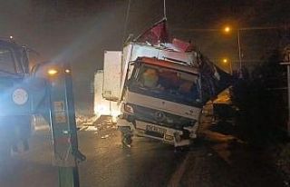 Büyükçekmece’de 8 ton hamsi taşıyan kamyon...