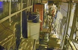 Çalıntı araçla geldiler, marketi soydular: 1 şüpheli...