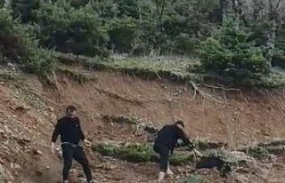 Çamura saplanan keçi son anda kurtarıldı