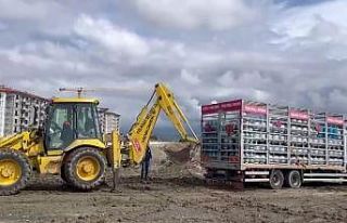 Çamura saplanan tüp yüklü kamyon kepçeyle kurtarıldı