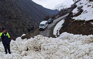 Çatak’ta çığ düştü: 1 mahalle ve 8 mezraya...