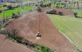 Çiftçinin enflasyonu şubatta yavaşladı
