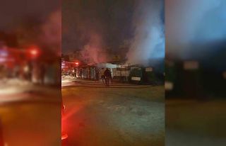 Çiftlik, alevlere teslim oldu