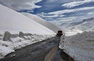 Çığ düşen yolu açma çalışmaları başlatıldı
