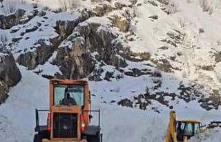 Çığın düştüğü Şırnak-Hakkari yolu ulaşıma...