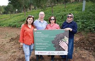 Cinayete kurban giden kadınlar anısına fidan dikildi