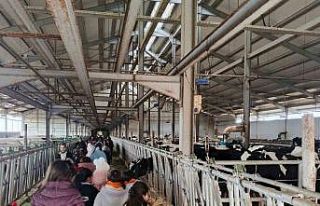 Çocuklar, tarımsal üretimi yerinde inceledi