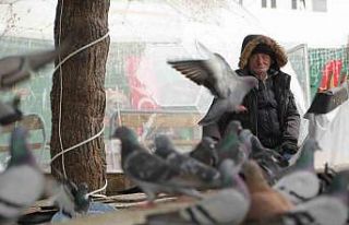 "Çocukların Kuşçu Dedesi" kuşlar için...