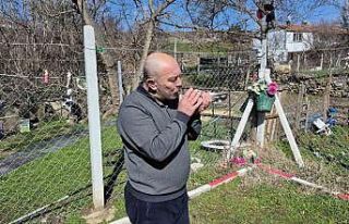 Çocukluğundan bu yana güvercin tutkunu olan adam:...