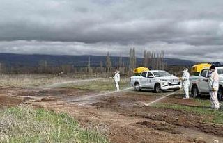 Çorum Belediyesi’nden yaz öncesi vektörle mücadele