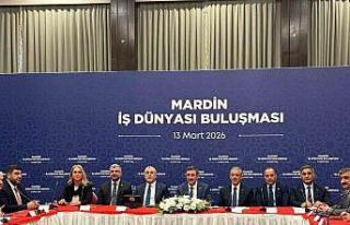 Cumhurbaşkanı Yardımcısı Yılmaz: "Mardin’in...