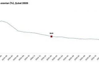 Cumhurbaşkanı Yardımcısı Yılmaz: "Şubat...