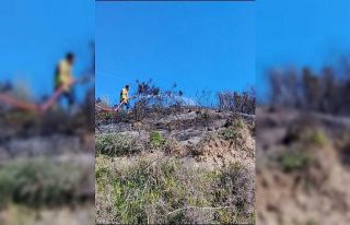 Defne’de çıkan bahçe yangınından alevler yükseldi