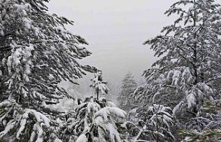 Demirci’nin yüksek kesimlerinde kar yağışı...