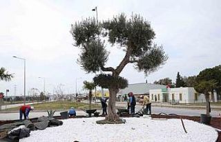 Didim Belediyesi, Didim’e çıkan yolları güzelleştirdi