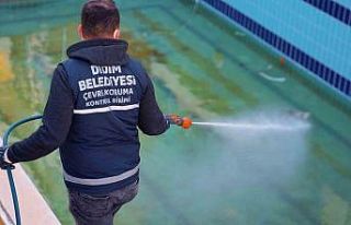 Didim’de vektörle mücadele dört mevsim sürüyor