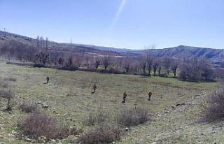 Diyarbakır’da kayıp engelli şahsı arama çalışmalarına...