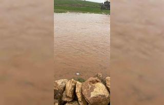 Diyarbakır’da sağanak nedeni ile onlarca koyun...