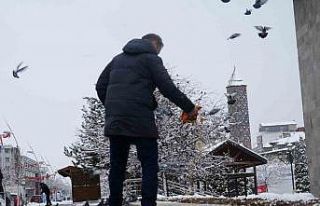 Doğu’da kar yağışı devam ediyor