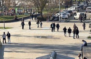 Domuz gribi vakalarında artış