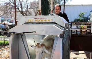 Döşemealtı’nda küçükbaş hayvanlara ücretsiz...