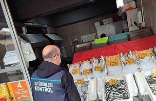 Edirne’de su ürünleri denetimleri sürüyor