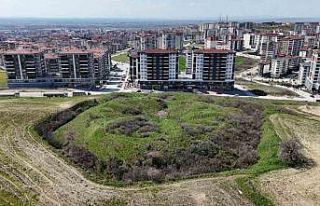 Edirne’de tarihi tabyalar yok olma tehlikesiyle...