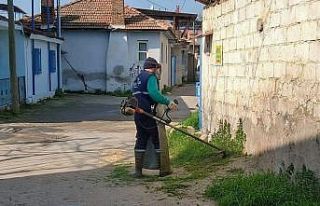 Efeler Belediyesi’nin yeşil alan çalışmaları...