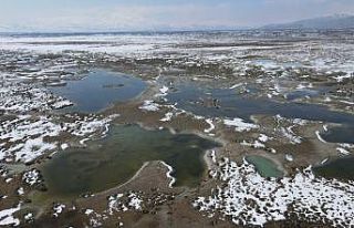 Ekşisu Kuş Cenneti’nde doğa drone ile kaydedildi